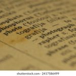 视频相册制作软件免费版 6wia99