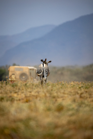 山西政协 山西政协